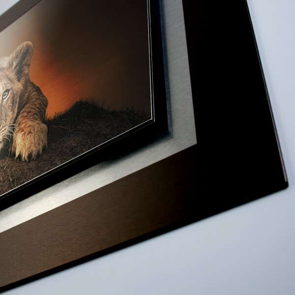 Afrika – 3D Alu Metallic Wandbild aus gebürstetem Aluminium