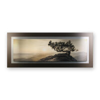 Einsamer Baum – 3D Alu Metallic Wandbild aus gebürstetem Aluminium